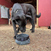 Travel Dog Bowl
