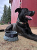 Travel Dog Bowl